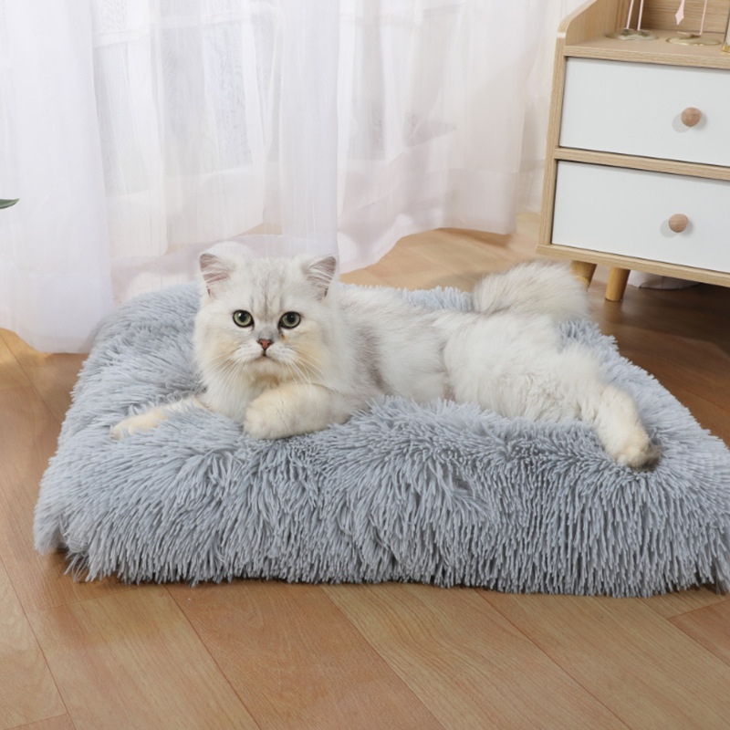 Pet Supplies In Amazon - Colchoneta para Mascotas, Nueva Colchoneta para