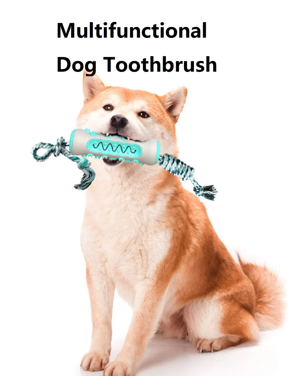 Pet Supplies In Amazon - Suministros para mascotas, juguetes para perros