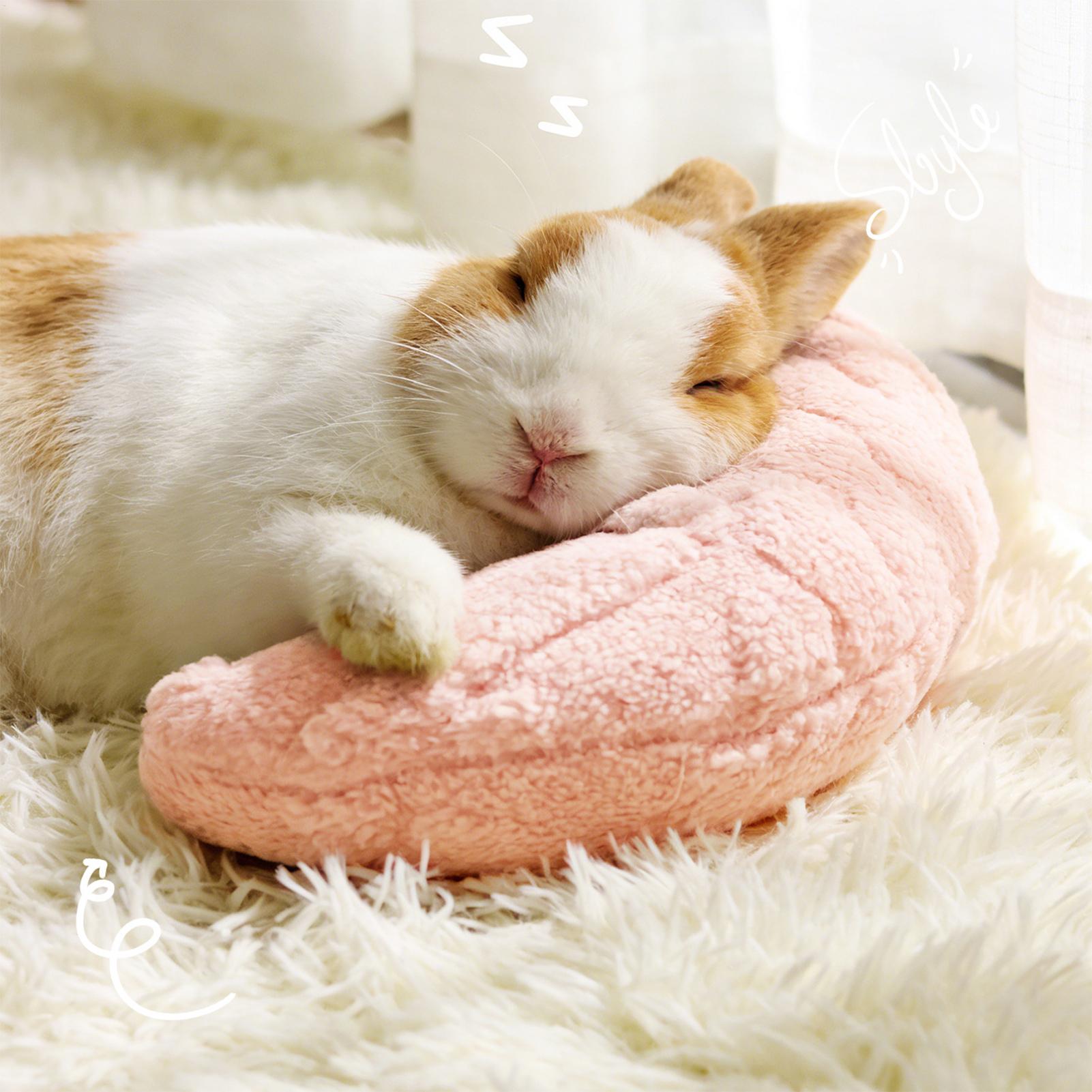 Pet Supplies App - Almohada para Mascotas, Protector de Cuello,