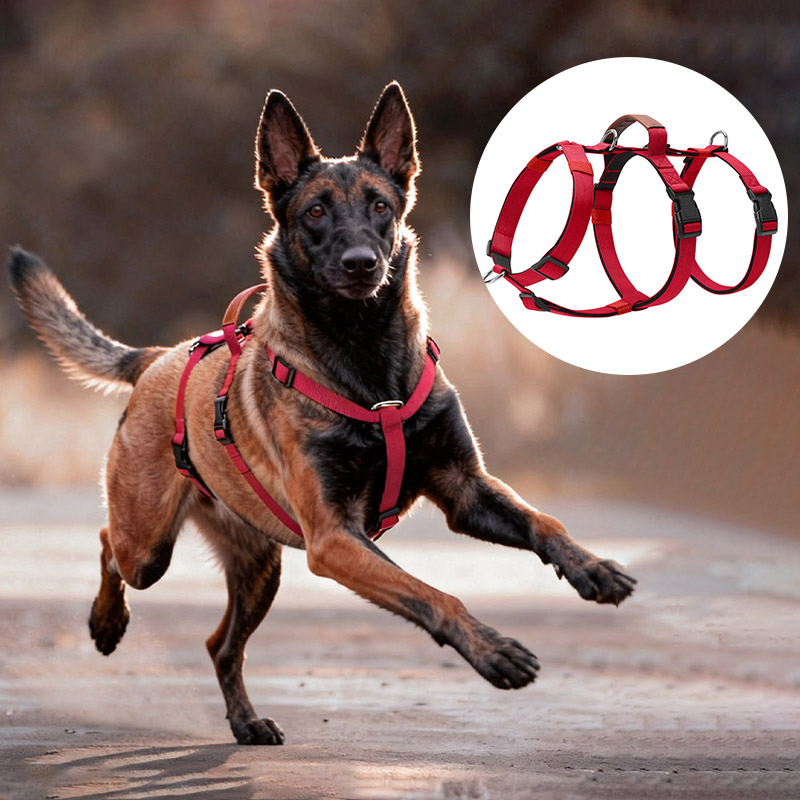 Arnés de nailon a prueba de es - No Pull Dog Harness reseña y precio