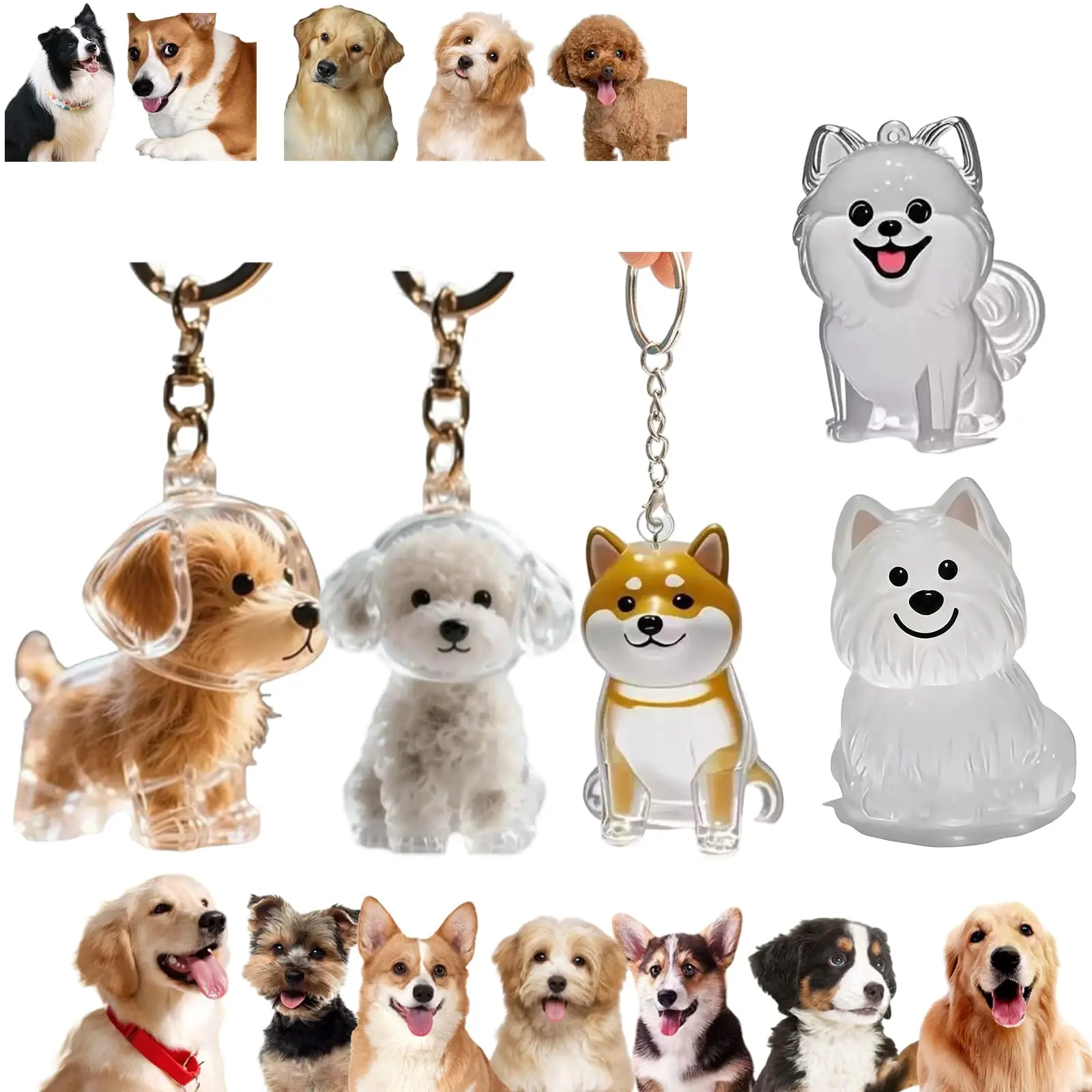 Colgante Transparente Conmemor - Pet Supplies Outlet reseña y precio