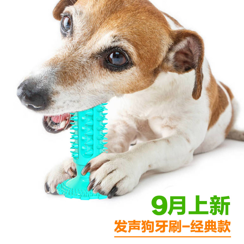 Juguete para perros con ventos - Pet Supplies In Amazon reseña y precio