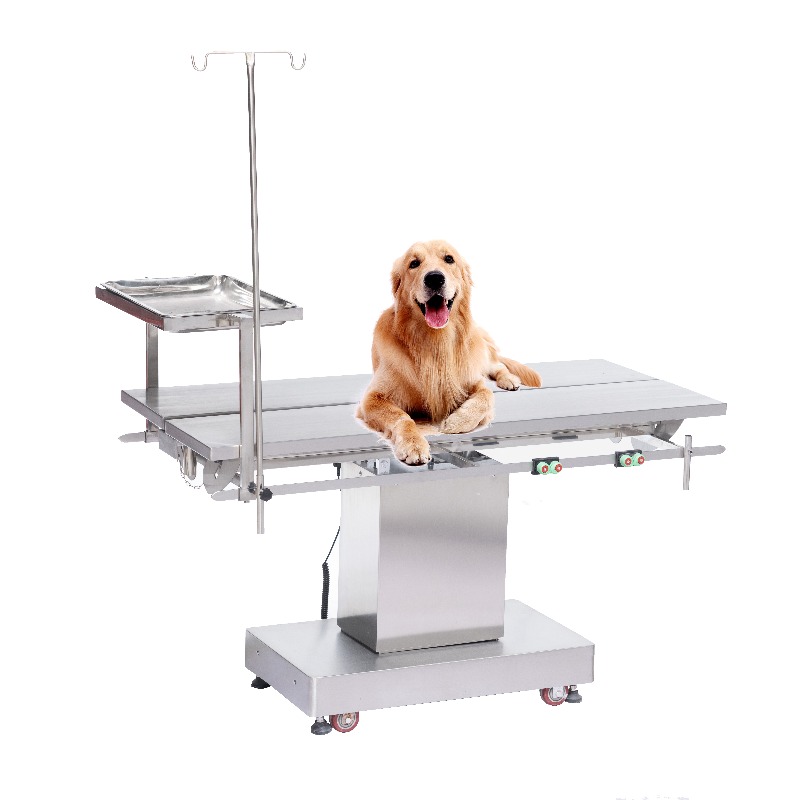 Mesa de Exploración Veterinari - Pet Supplies Vet Clinic reseña y precio