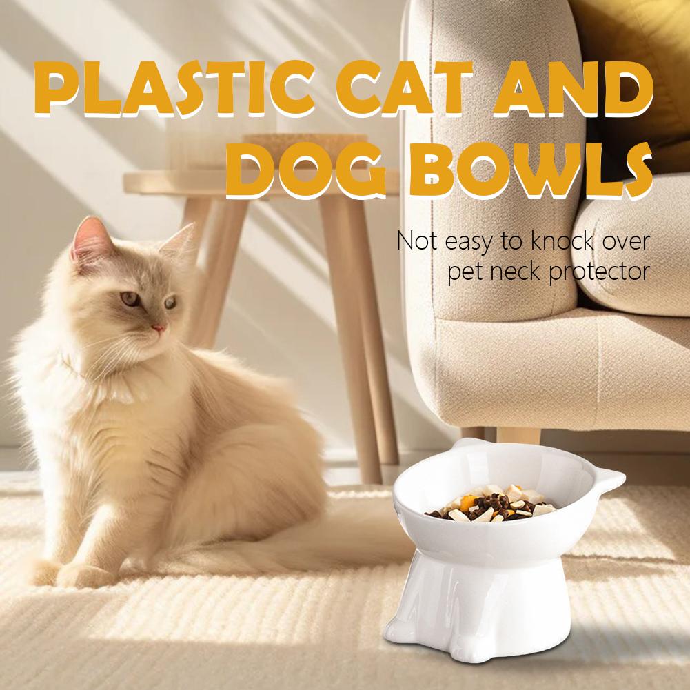 Tazón para gatos negro, tazón  - Pet Supplies In Amazon reseña y precio