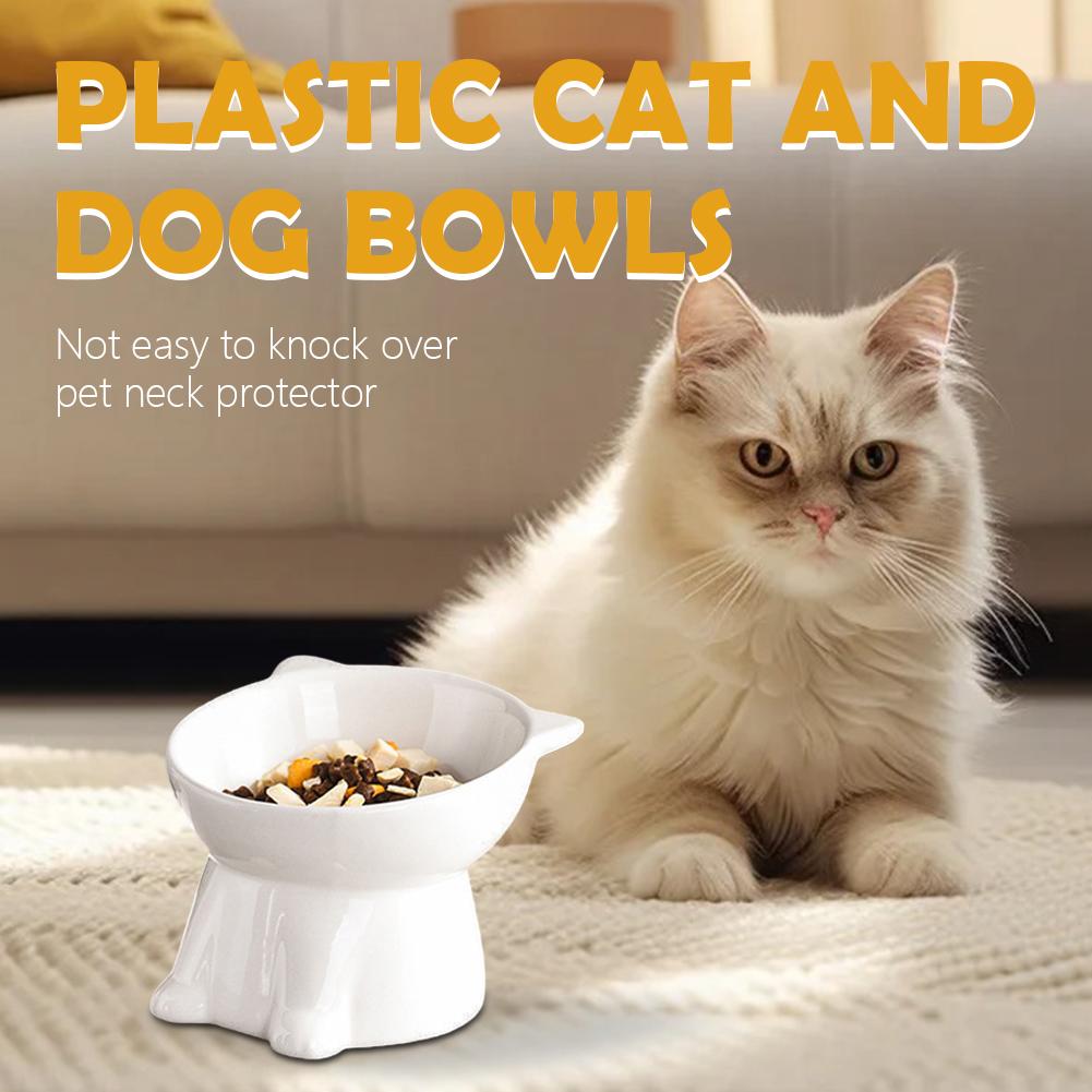 Tazón para gatos negro, tazón  - Pet Supplies In Amazon reseña y precio