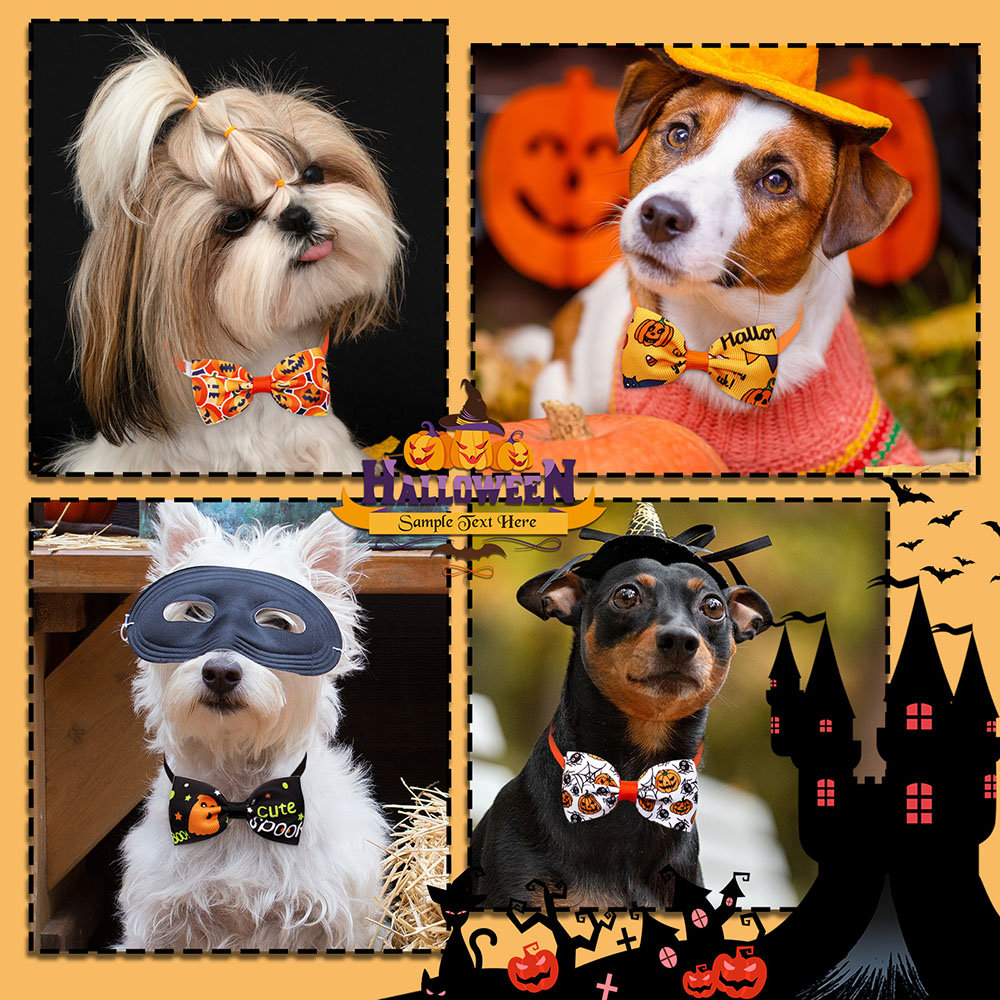 Accesorios de Halloween para p - Pet Supplies App reseña y precio