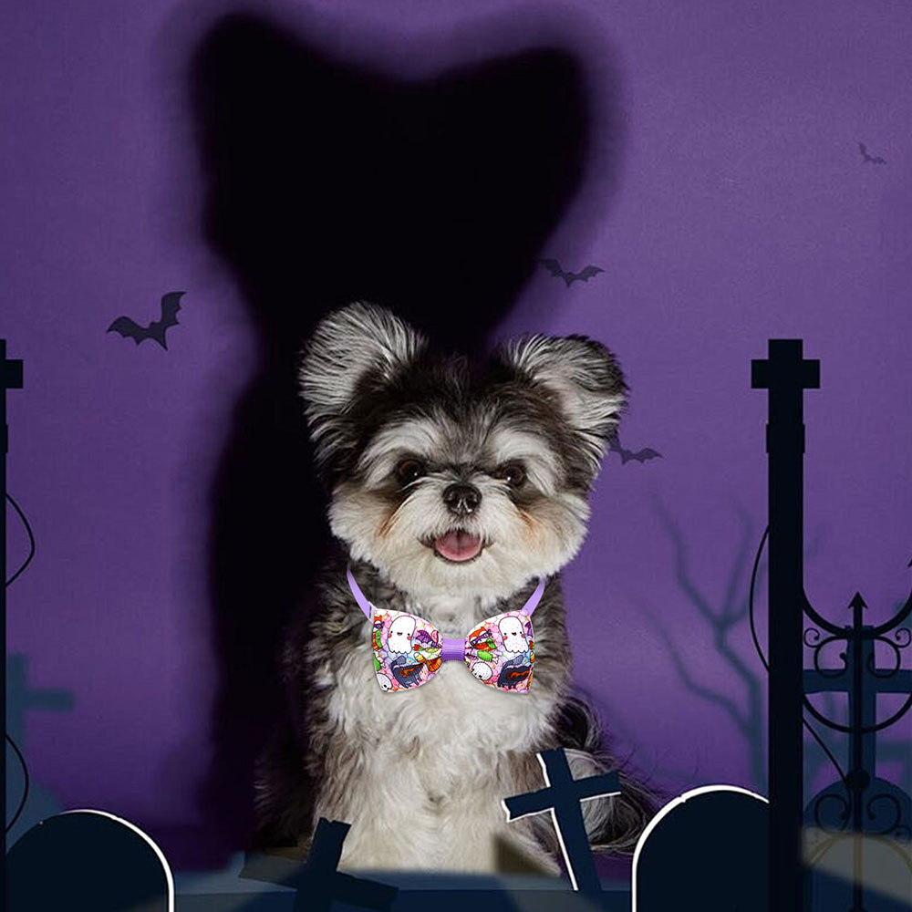Accesorios de Halloween para p - Pet Supplies App reseña y precio