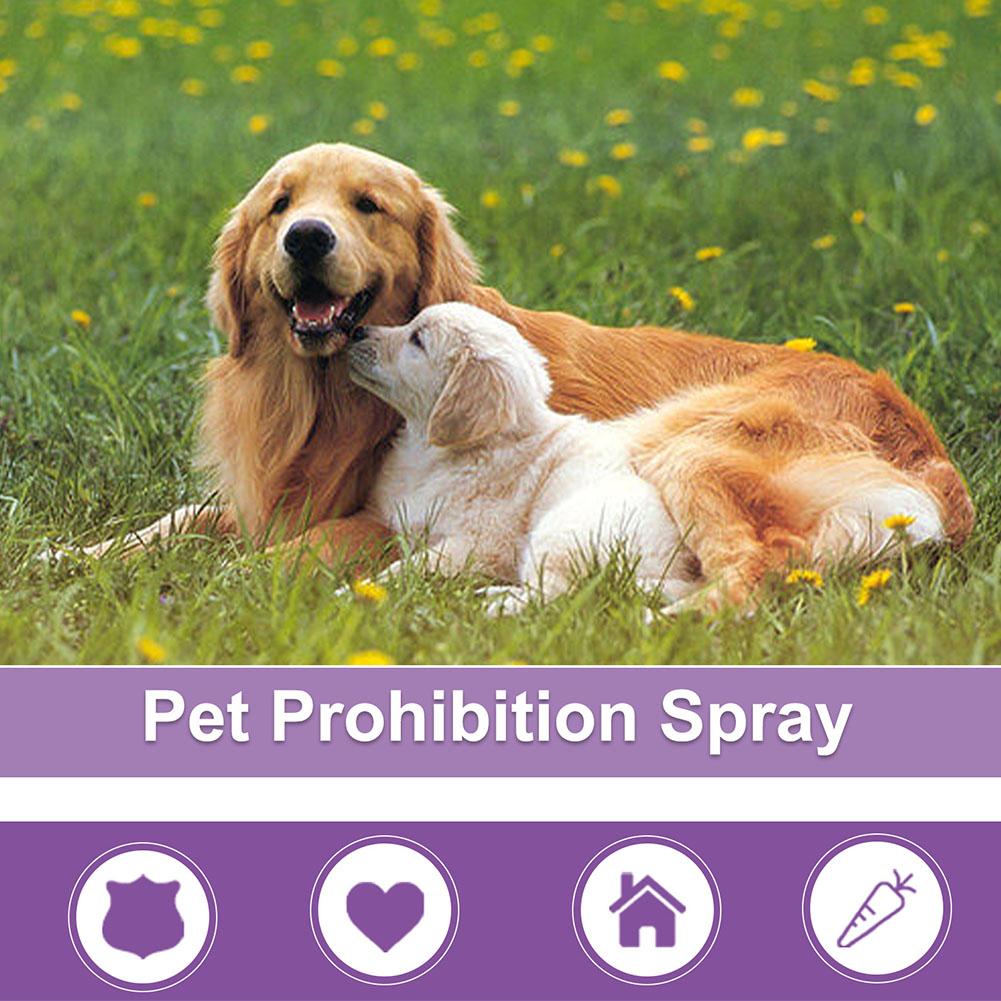 Spray Calmante para Mascotas,  - Pet Supplies App reseña y precio
