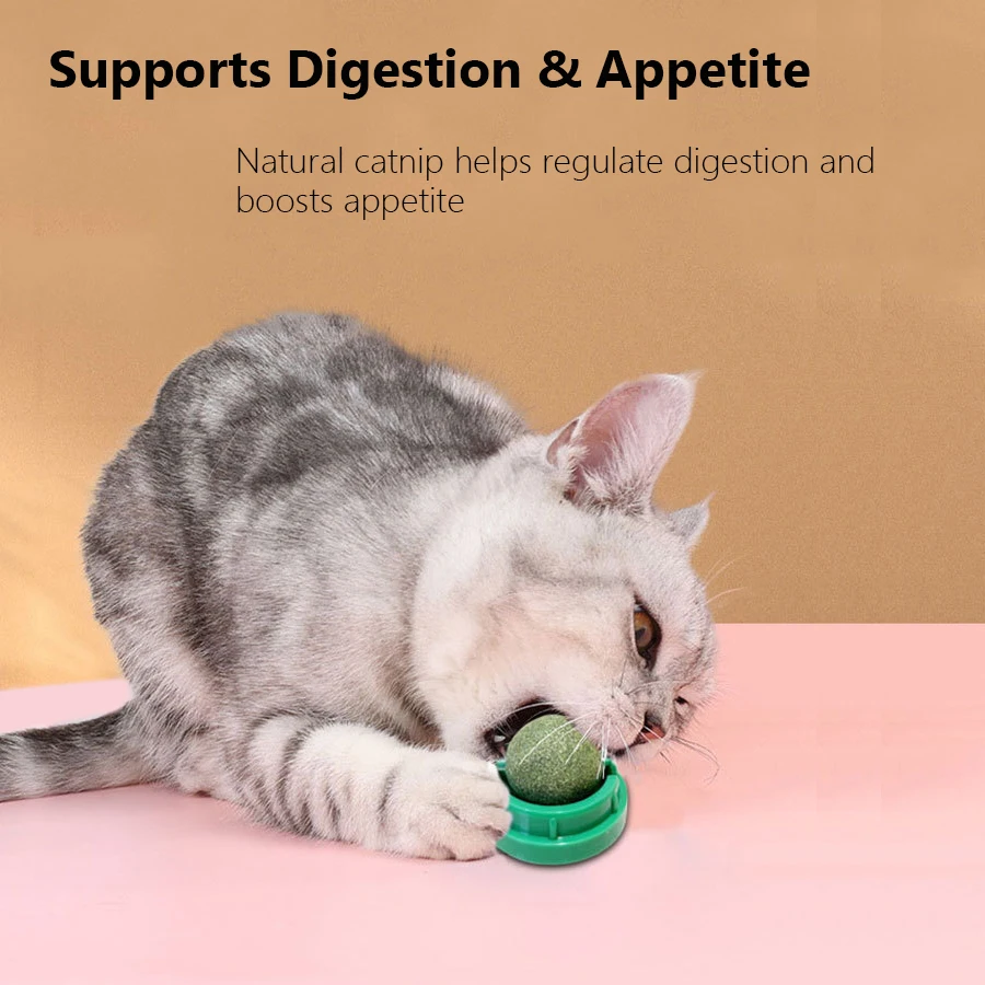 Bola giratoria de menta con hi - Catnip Toys reseña y precio