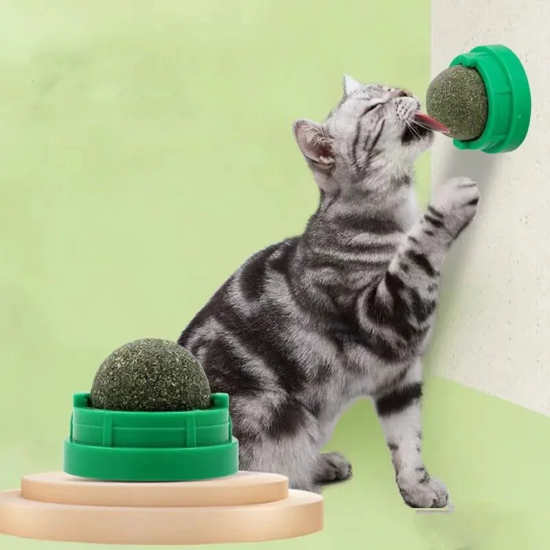 Juguete de limpieza dental par - Catnip Toys reseña y precio