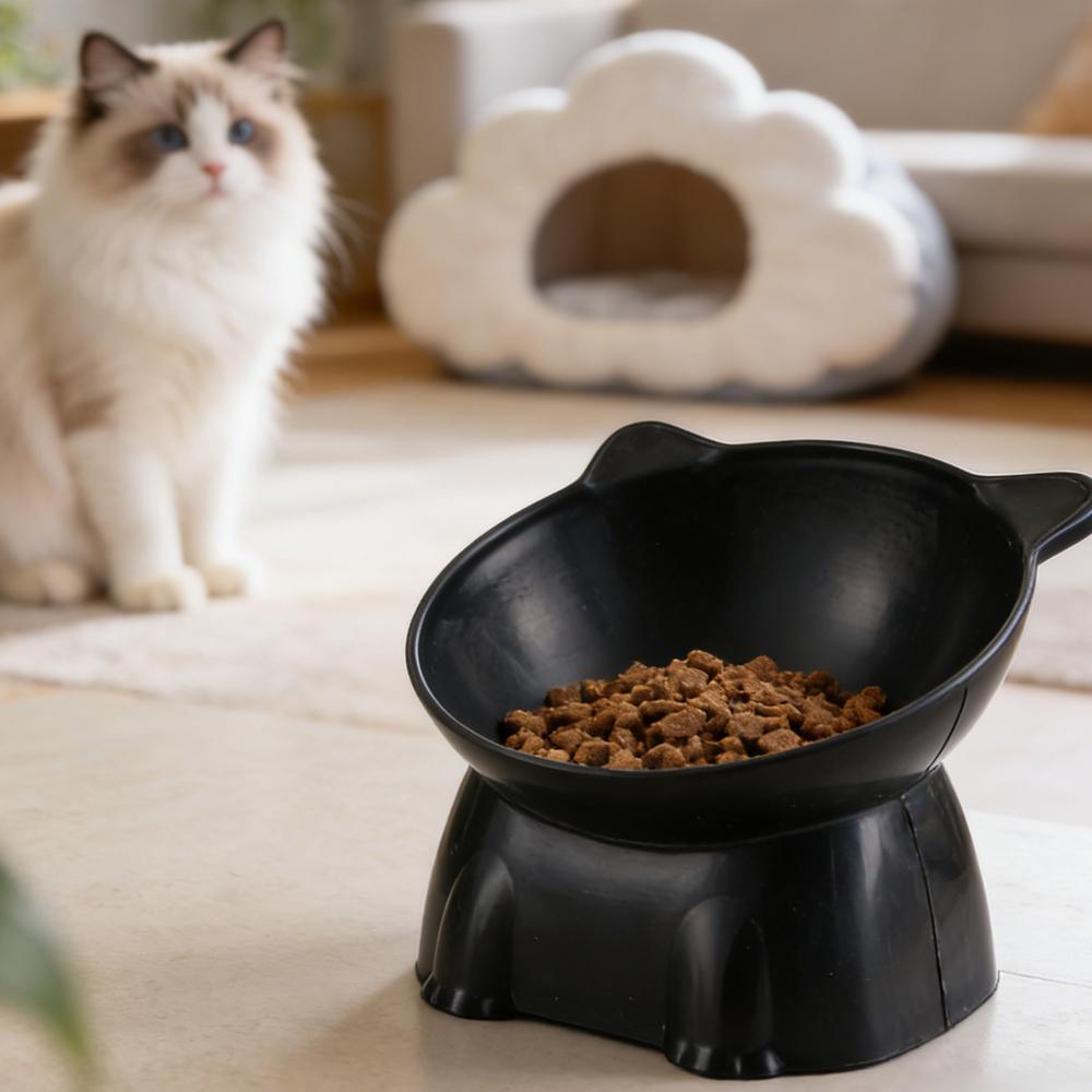 Tazón para Gatos Negro, Tazón  - Pet Supplies In Amazon reseña y precio