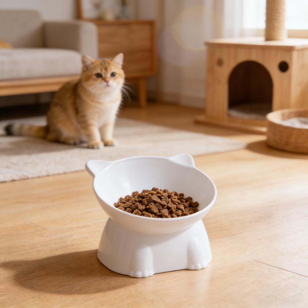 Tazón para Gatos Negro, Tazón  - Pet Supplies In Amazon reseña y precio