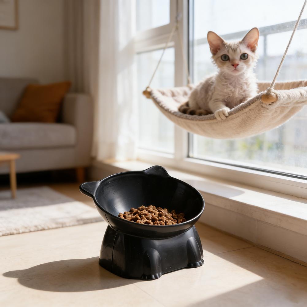 Tazón para Gatos Negro, Tazón  - Pet Supplies In Amazon reseña y precio