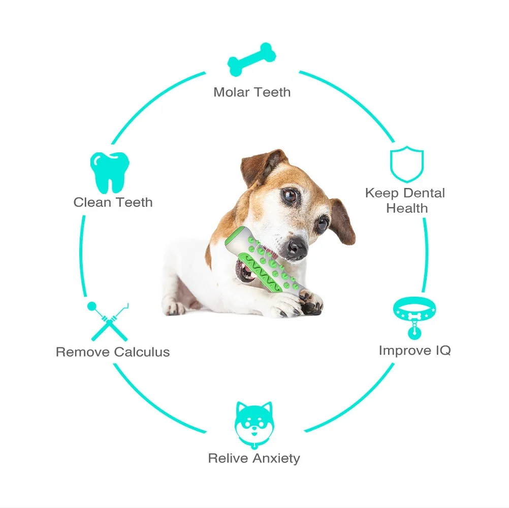Suministros para mascotas, jug - Pet Supplies In Amazon reseña y precio
