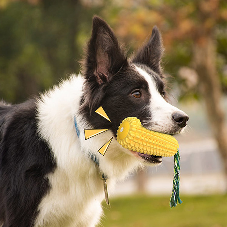 Juguete para mascotas con form - Pet Supplies In Amazon reseña y precio