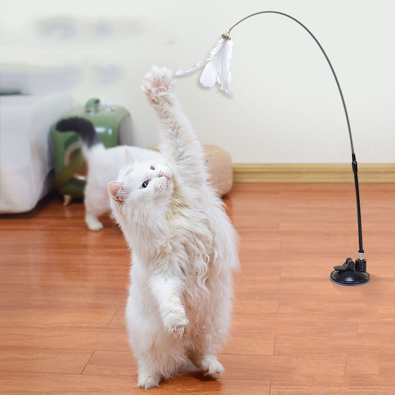 Nuevo potente palo de succión  - Pet Supplies In Amazon reseña y precio