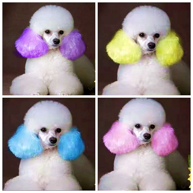 Crema colorante para mascotas, - Pet Supplies App reseña y precio