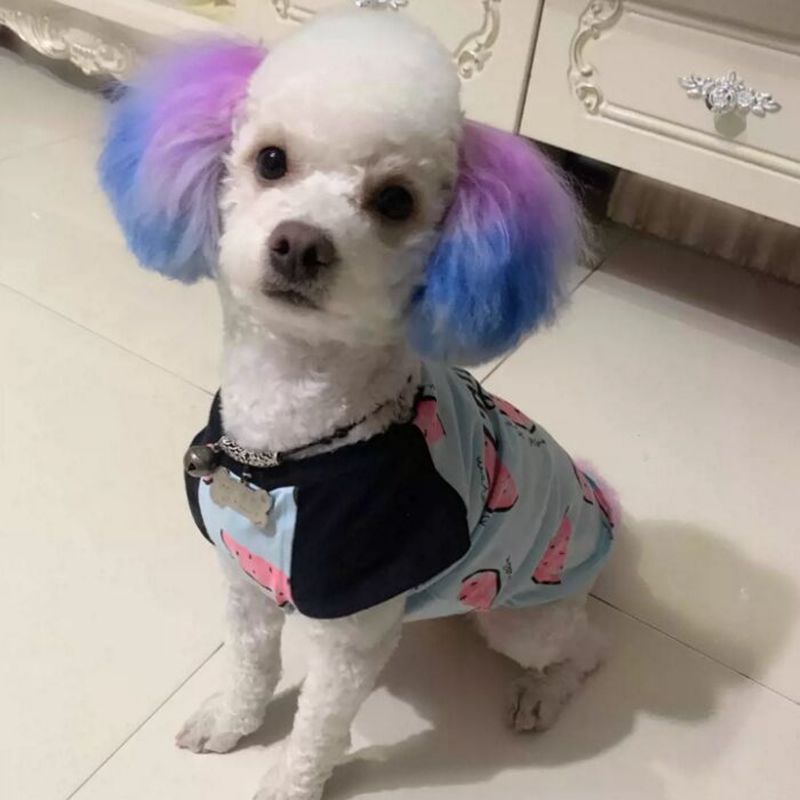 Crema colorante para mascotas, - Pet Supplies App reseña y precio