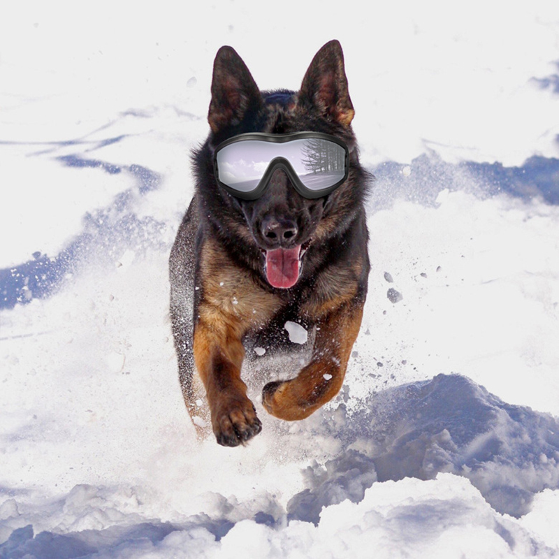 Gafas de Sol para Perros, Prot - Pet Supplies Hours reseña y precio