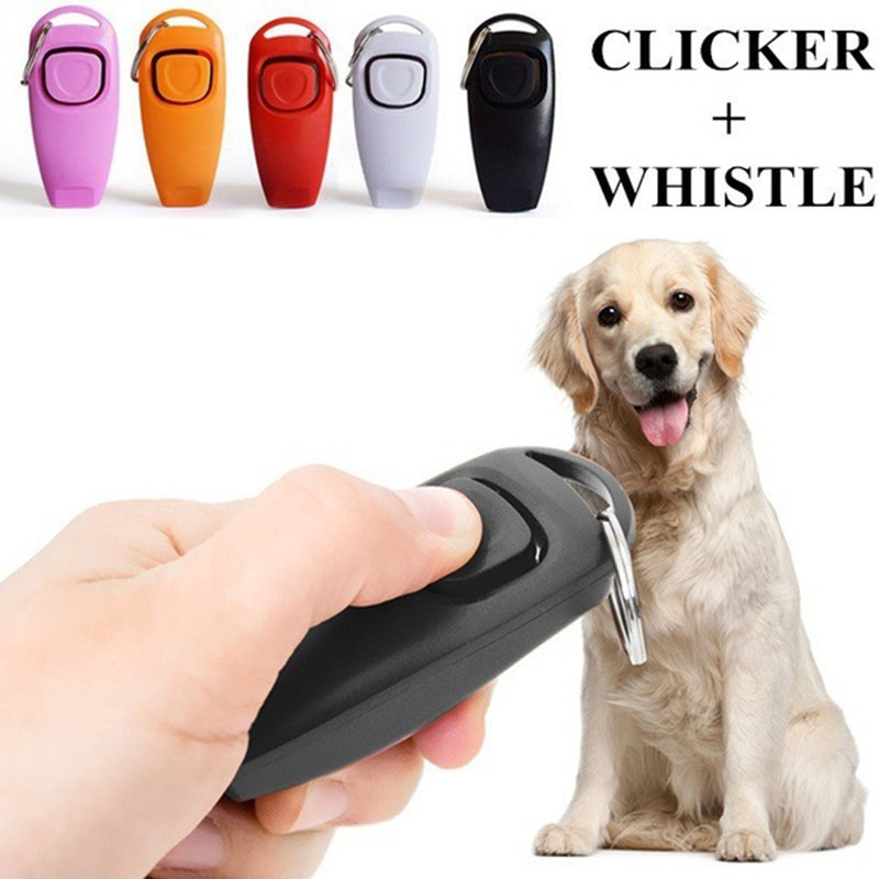 Clicker 2 en 1 para perros, si - Training Clicker Dog reseña y precio