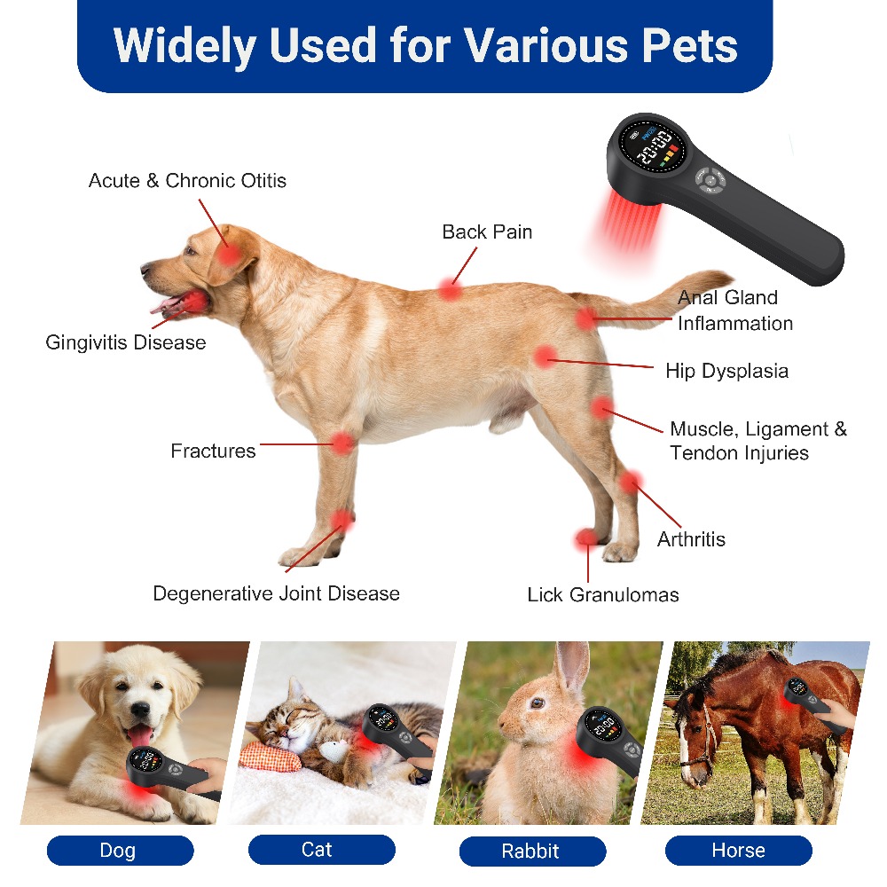 Dispositivo Profesional de Ter - Pet Supplies Outlet reseña y precio