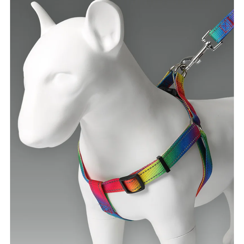 Conjunto de Arnés para Perro Z - No Pull Dog Harness reseña y precio