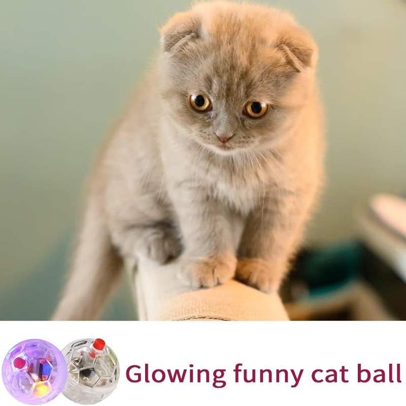 Pelota brillante transparente  - Catnip Toys reseña y precio