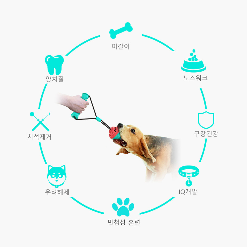 Nuevos artículos y juguetes pa - Pet Supplies In Amazon reseña y precio